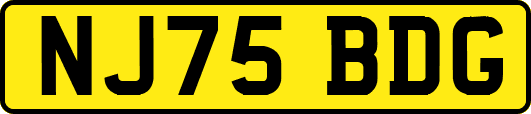 NJ75BDG