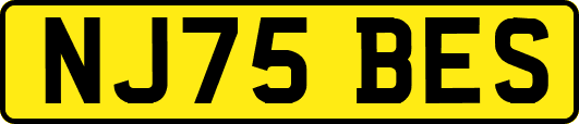 NJ75BES