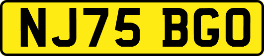NJ75BGO