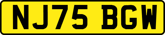 NJ75BGW