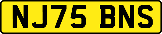 NJ75BNS