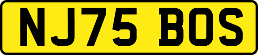 NJ75BOS