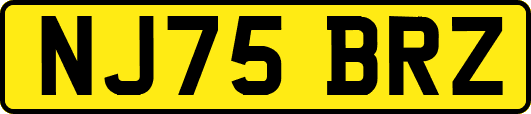NJ75BRZ