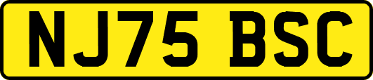 NJ75BSC