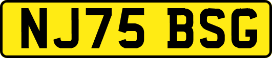 NJ75BSG