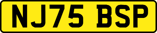 NJ75BSP