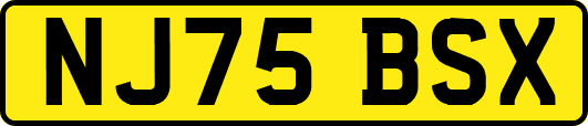 NJ75BSX
