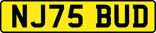 NJ75BUD