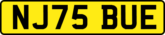 NJ75BUE