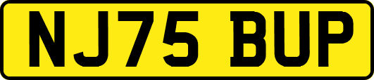 NJ75BUP