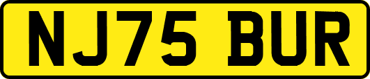 NJ75BUR