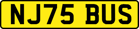 NJ75BUS
