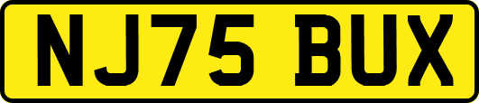 NJ75BUX
