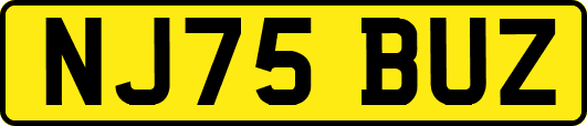 NJ75BUZ