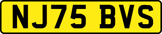 NJ75BVS