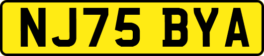 NJ75BYA