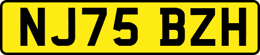 NJ75BZH