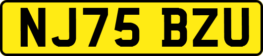 NJ75BZU