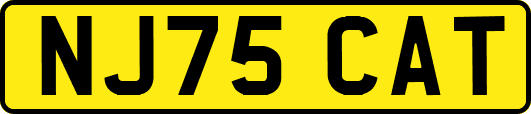 NJ75CAT