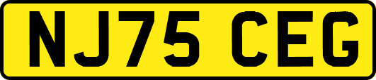 NJ75CEG