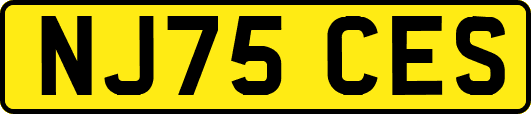 NJ75CES