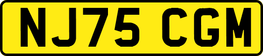 NJ75CGM