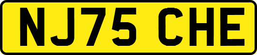 NJ75CHE
