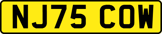 NJ75COW