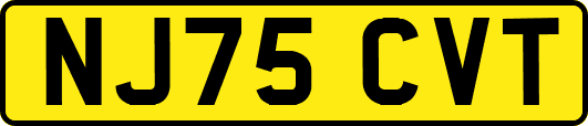 NJ75CVT