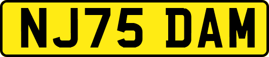 NJ75DAM