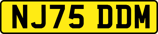 NJ75DDM
