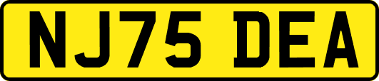 NJ75DEA