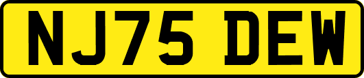 NJ75DEW