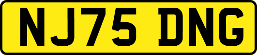 NJ75DNG