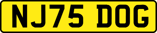NJ75DOG