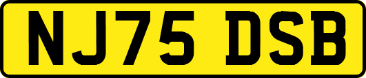NJ75DSB