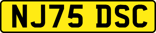 NJ75DSC