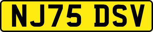 NJ75DSV