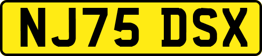 NJ75DSX