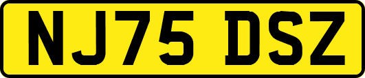 NJ75DSZ