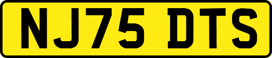 NJ75DTS