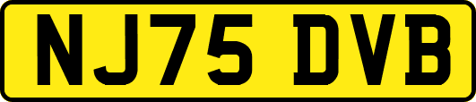 NJ75DVB