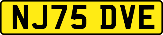 NJ75DVE