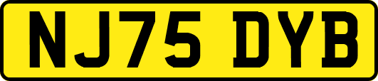 NJ75DYB