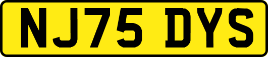 NJ75DYS