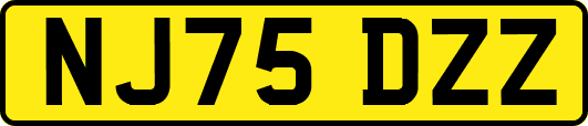 NJ75DZZ