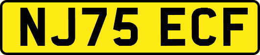 NJ75ECF