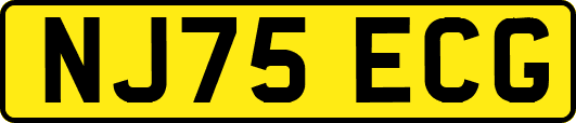 NJ75ECG