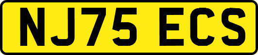 NJ75ECS