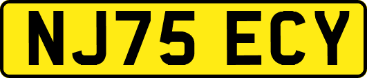 NJ75ECY